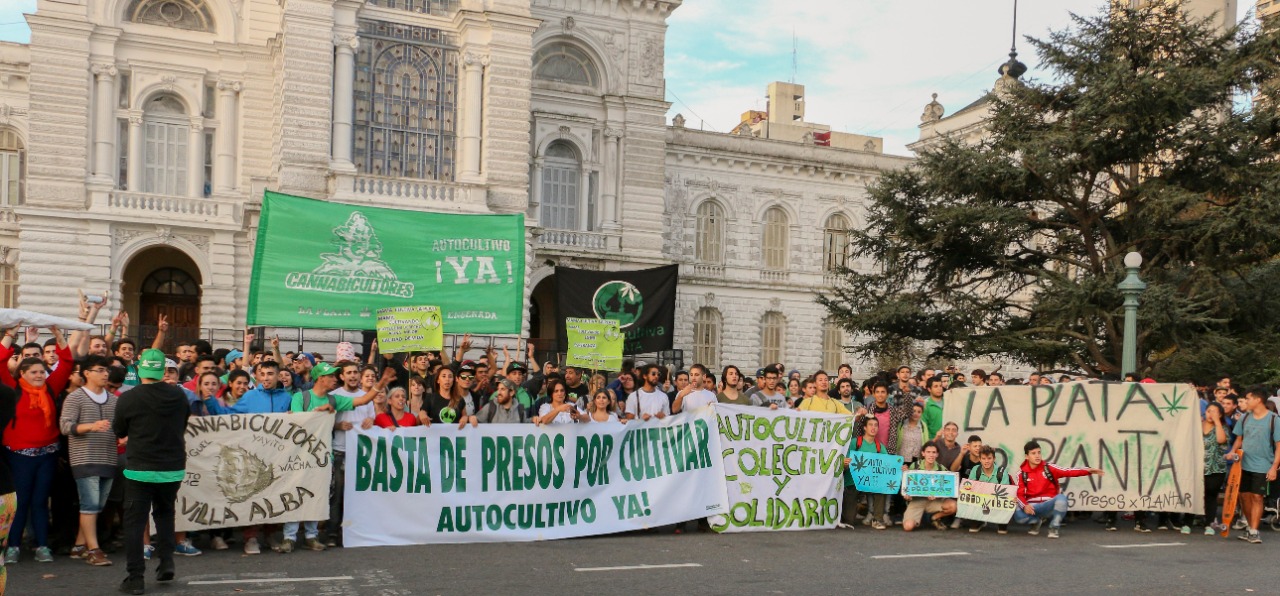 marcha cannabis la plata