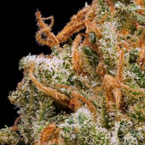 calices de cannabis macro