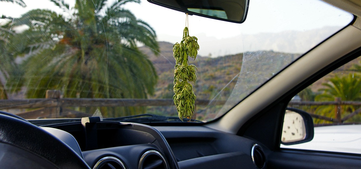 patentes de auto con cannabis