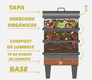 compost de cannabis