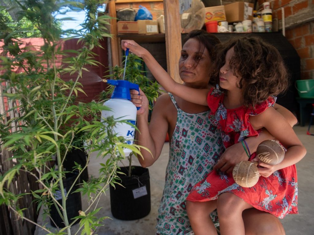 despenalización del cannabis