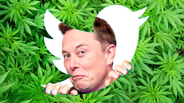 twitter cannabis